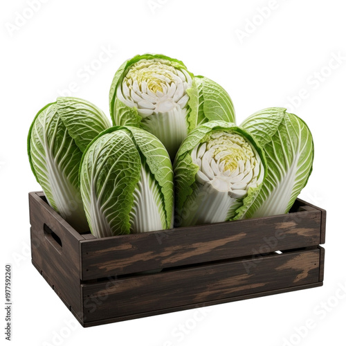 Fresh Napa cabbage in a wooden crate