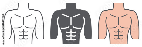 Male torso line icon, diet and body, man figure sign, vector graphics, a linear pattern on a white background.