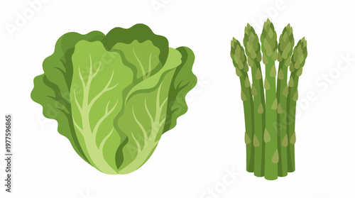 An artistic representation of fresh lettuce and asparagus, showcasing their vibrant colors and textures, ideal for promoting healthy eating and fresh ingredients.