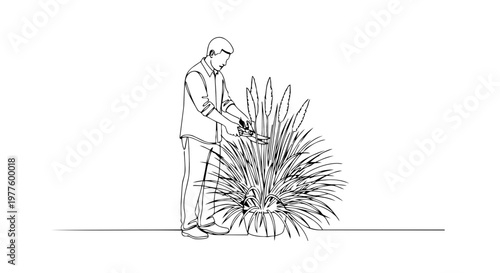 Man pruning ornamental grass with shears. One line drawing vector illustration. Minimalist spring garden maintenance. Continuous line art isolated on white