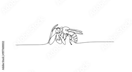 Bee and snowdrop flower one line drawing. Minimalist continuous line art vector illustration. Nature and spring pollination concept isolated on white background