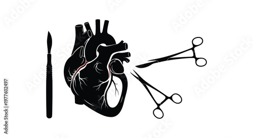 Anatomical heart with surgical tools a striking black silhouette high quality