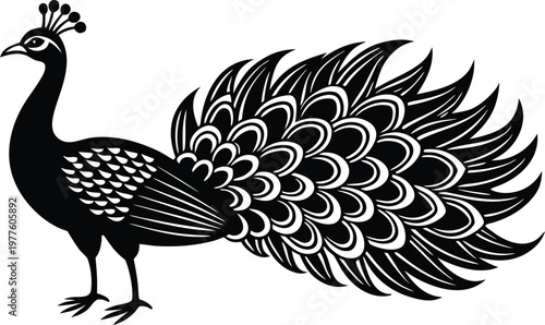Black and white line of a peacock with detailed feather patterns and posture peafowl bird feathers