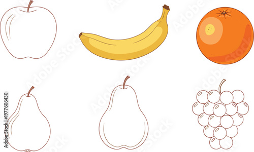 Colorful Hand-Drawn Fruit Vector Illustration Set