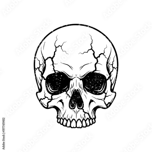 Cracked Human Skull Illustration