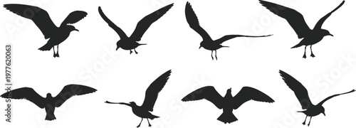 Collection of eight black silhouettes of seagulls in various flight poses against a white background