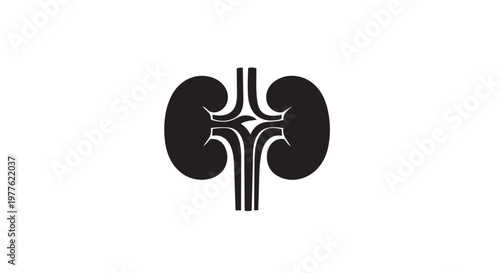 Anatomical kidney icon, human organ symbol, medical logo, black vector graphic