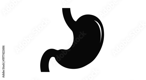 Anatomical illustration of a human stomach in dark silhouette