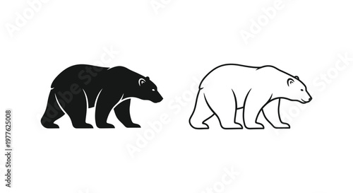Black Bear vs Polar Bear: Key Differences Vector