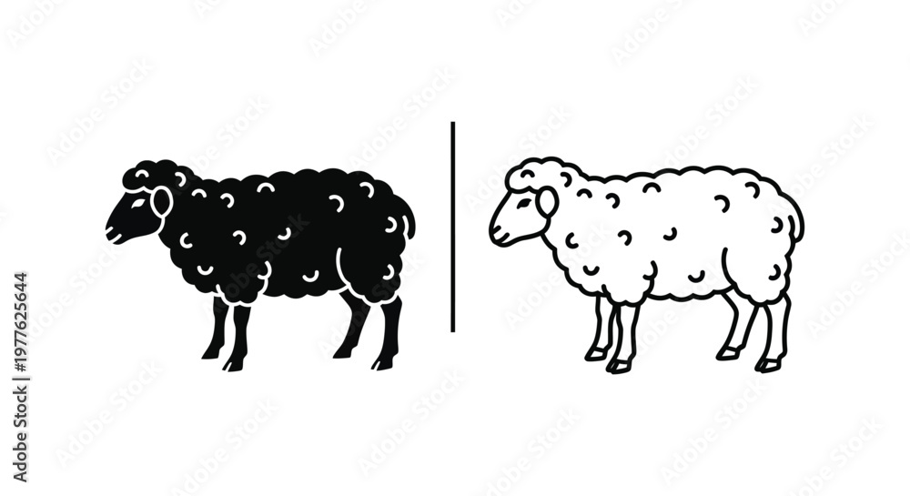 Fototapeta premium Black vs White Sheep: Wool Breed Comparison Guide Vector