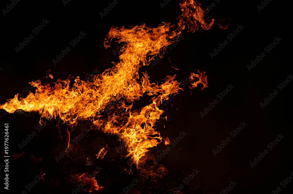 Obraz premium intense fire consuming burning branches in the darkness