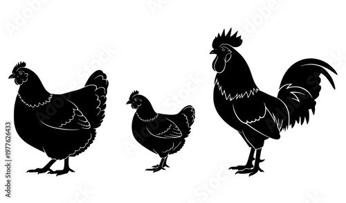 Hen, chicken, and rooster silhouette vector set isolated on white background