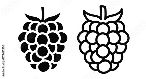 Two ripe raspberries are depicted in a striking black graphic silhouette