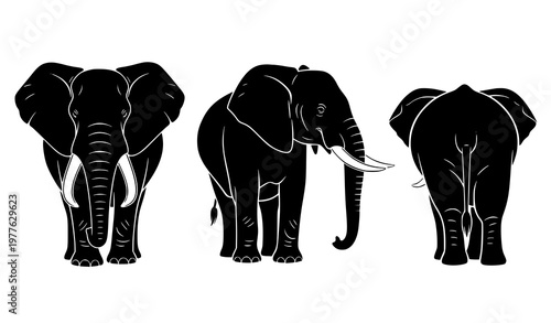 Elephant silhouette views collection vector animal anatomy reference isolated on white