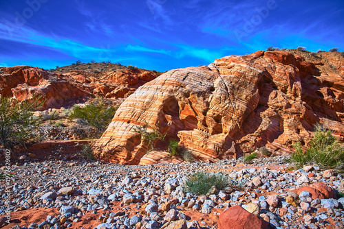 Red Sandstone Formations and Desert Vegetation Under Vibrant Blue Sky