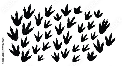 Dinosaur footprint silhouettes set, prehistoric reptile track collection, black bird and lizard paw prints, ancient animal trail vector icons