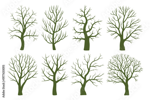 Dry tree branches, vector illustration of leafless and bare tree limbs, clean flat and outline design suitable for nature, autumn, Halloween, or environmental graphics.