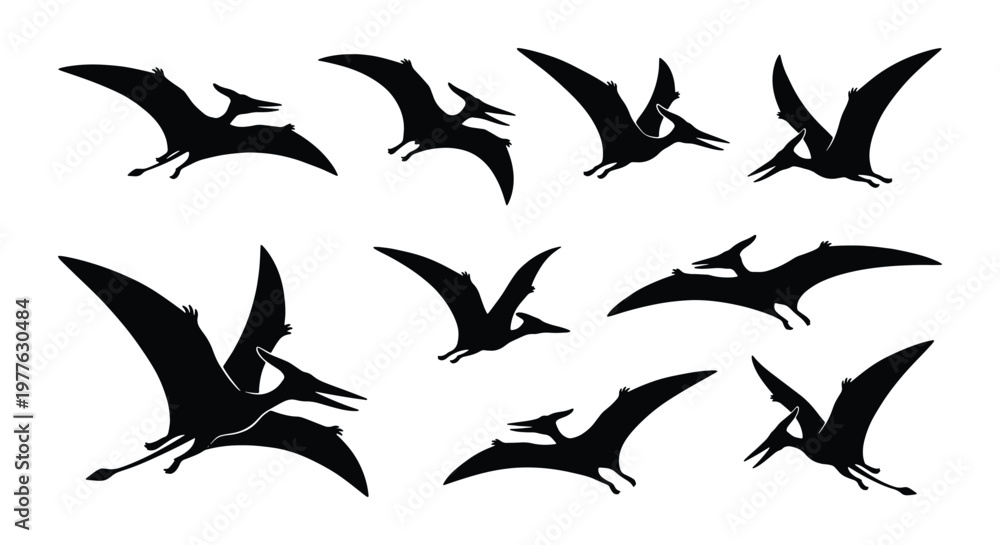 Obraz premium Pterodactyl silhouette collection, prehistoric flying dinosaur vector set, black pterosaur icons in flight, 9 ancient reptile elements