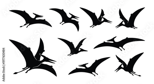 Pterodactyl silhouette collection, prehistoric flying dinosaur vector set, black pterosaur icons in flight, 9 ancient reptile elements
