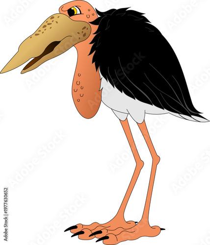 Marabou is a bird of the stork family.