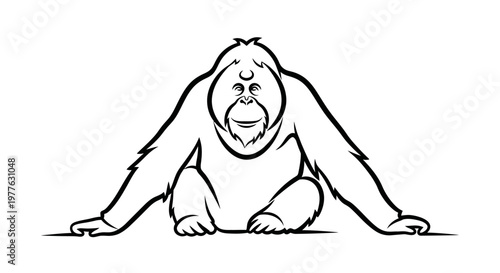 Orangutan sitting, simple line art, black and white, naturalistic drawing
