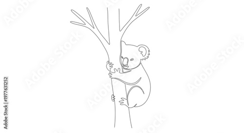 Koala Climbing Tree Line Art Simple Drawing Outline Animal Icon