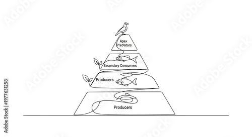 Ecological Food Pyramid Diagram with Producers, Consumers, and Apex Predator