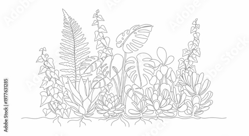 Outline Drawing of Tropical Plants and Succulents, Botanical Illustration