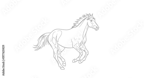 Outline drawing of a horse running, isolated on white background
