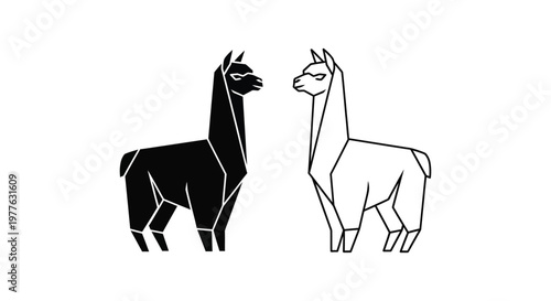 Llamas Comparison: Black vs White Animal Design Vector