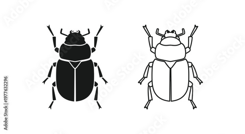 Beetle Identification Guide: Dark & Light Beetle Comparison Vector