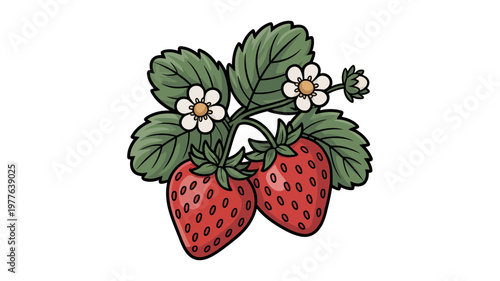 Two ripe red strawberries with green leaves and small white flowers, showing fresh fruit.