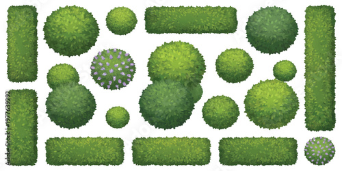 Set of top view green garden bushes and hedge elements for landscape architecture design vector illustration