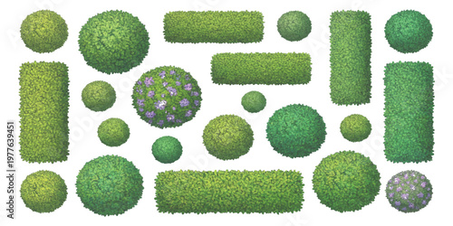 Top down view of garden hedges and green bushes set for architectural landscaping vector illustration