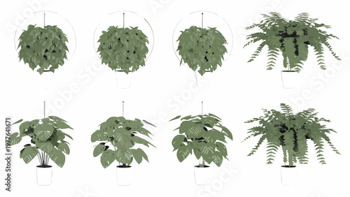 Collection of potted green plants including hanging and floor varieties
