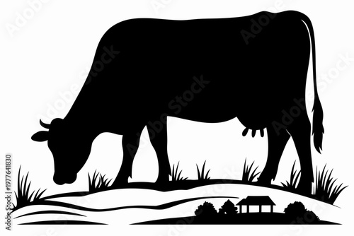 Silhouette of a cow grazing in a rural landscape with a barn