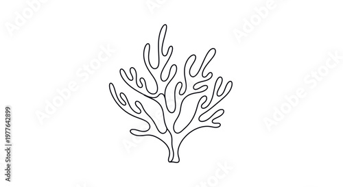 Stylized Coral Branch Outline - Minimalist Marine Life Illustration