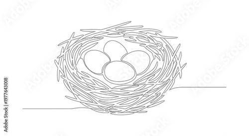 Minimalist Line Art Bird Nest with Four Eggs