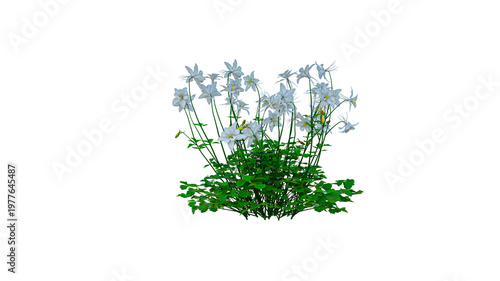 Obraz na plátně Small bush with white flowers and green leaves isolated on transparent background with no shadow 109