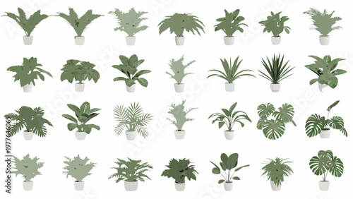 Collection of diverse potted houseplants arranged on a white background