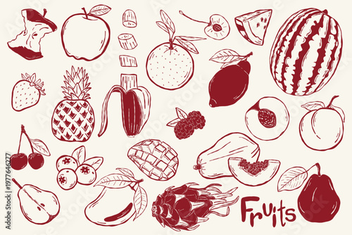 Fruit collection with hand drawn tropical and fresh ingredients set