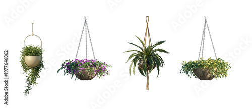 hanging plant pots (suspended planters, hanging baskets) isolated PNG on a transparent background premium nature cutout