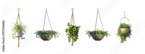 Photos hanging plant pots (suspended planters, hanging baskets) isolated PNG on a trans