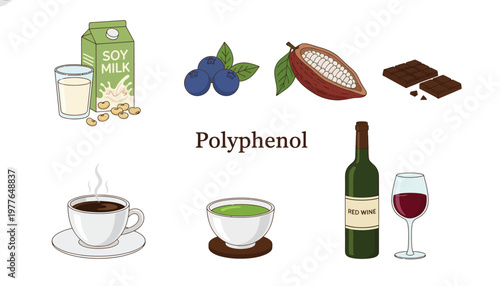 Polyphenol rich foods, antioxidant icons, healthy diet symbols, nutrition graphics