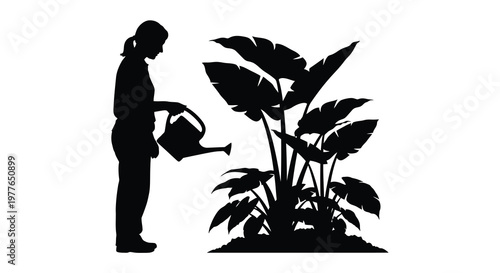 A woman carefully tending to lush tropical plants a striking silhouette