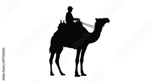A solitary rider on a camel captured in striking black form silhouette