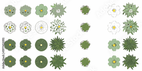 An aerial view illustration of various flowering plants and foliage