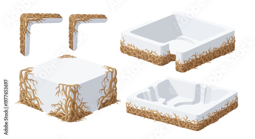 Flat illustration of a white and brown mycelium structure with various views and angles on a plain white background