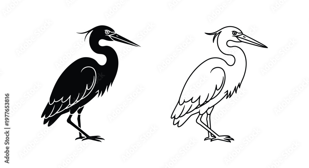 Fototapeta premium BlackAndWhiteHeronBirdIllustration Vector