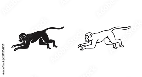 Monkey Movement Evolution Illustration Guide Vector